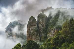 priya-singh-cNNIIduVCLs-unsplash (1)