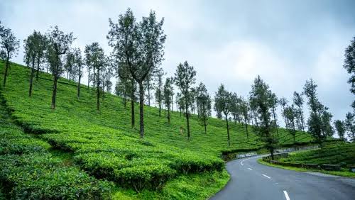 Valparai