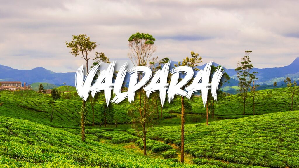 Valparai tours with skytours