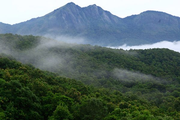 Silent Valley