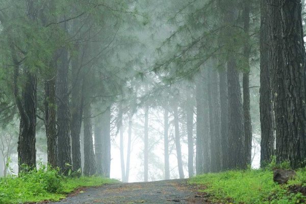 Vagamon