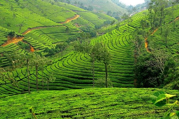 coonoor